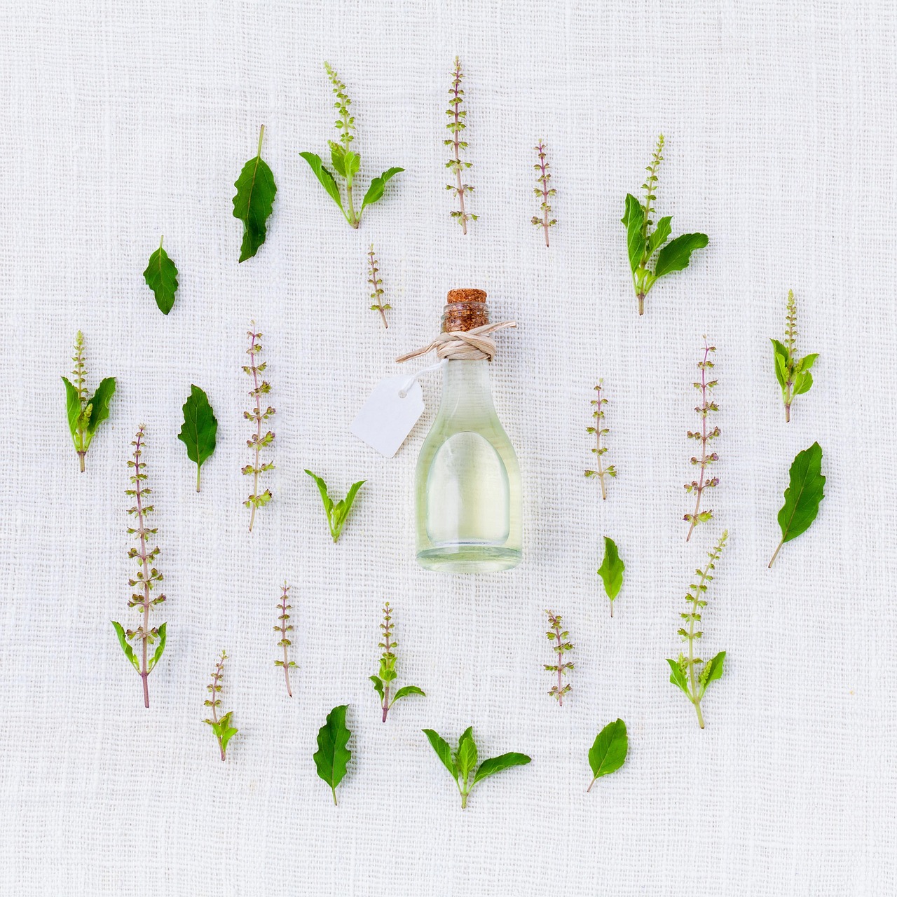 Clary Sage Fragrance Oil vs Essential Oil: What Is the Difference?